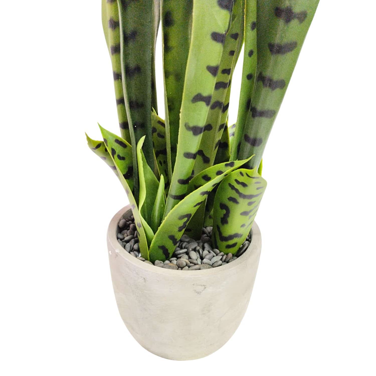 https://www.unicesped.com/wp-content/uploads/2025/12/Maceta-Sansevieria-65-cm.jpg
