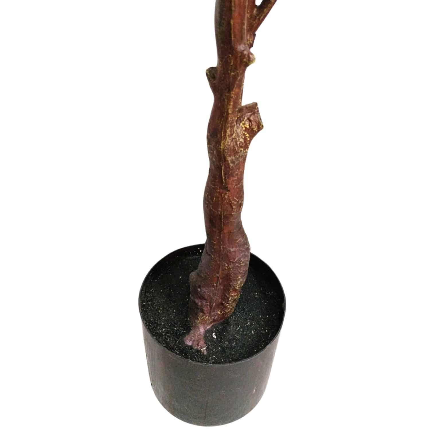 https://www.unicesped.com/wp-content/uploads/2025/12/Maceta-arbol-eucalyptus.jpg