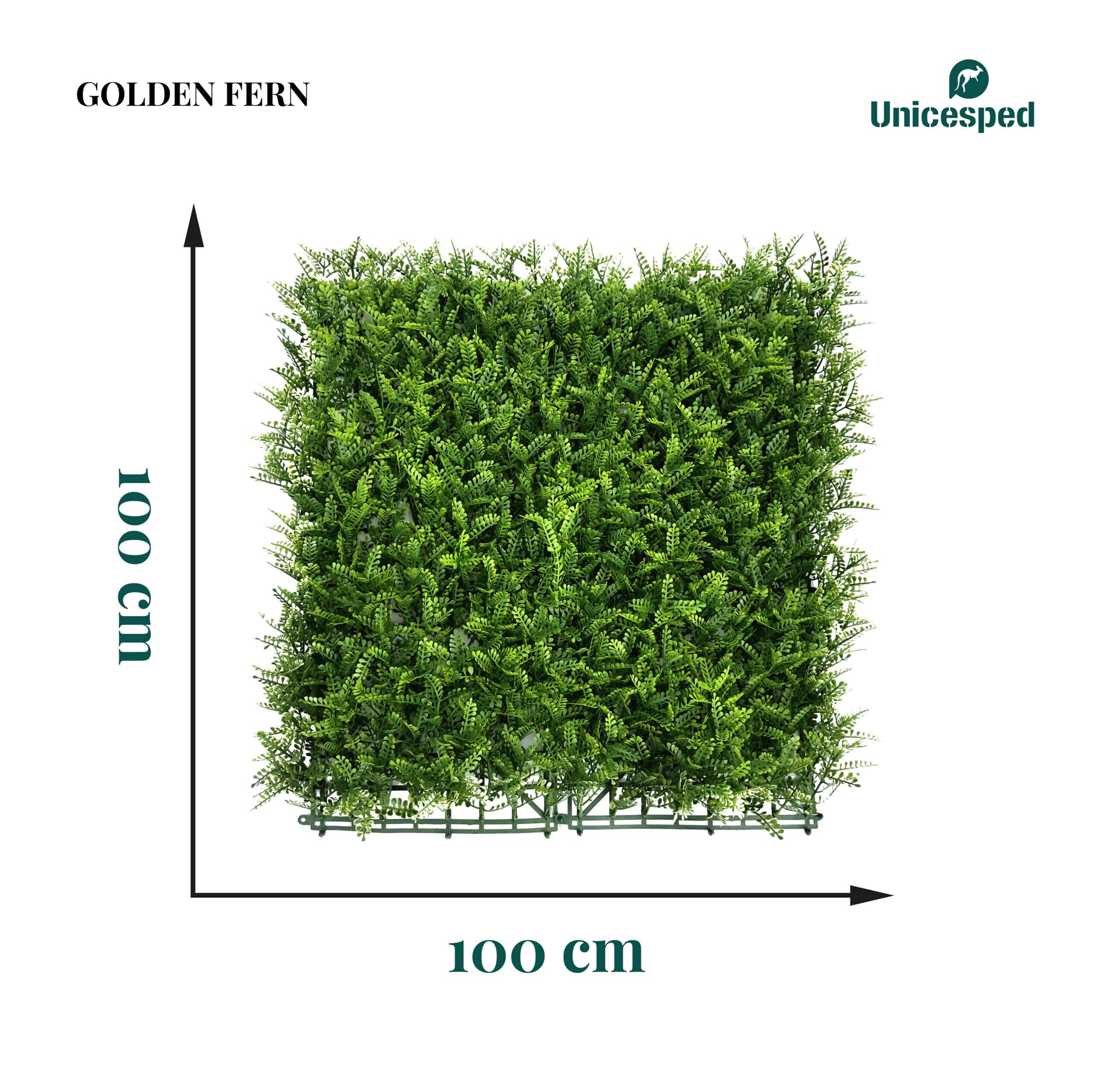 https://www.unicesped.com/wp-content/uploads/2025/12/Medidas-golden-fern-scaled.jpg