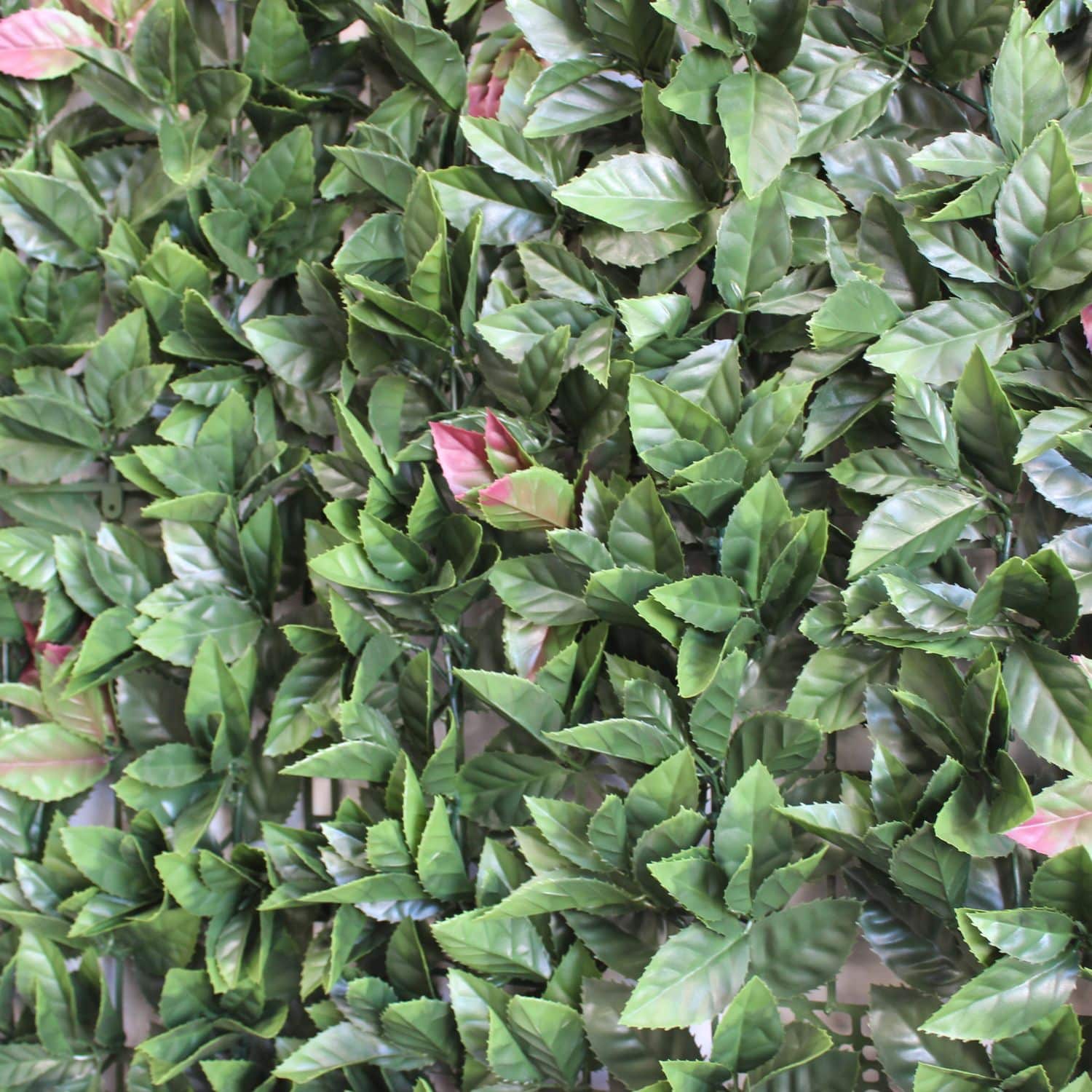 https://www.unicesped.com/wp-content/uploads/2025/12/New-Oasis-detalle-1.jpg
