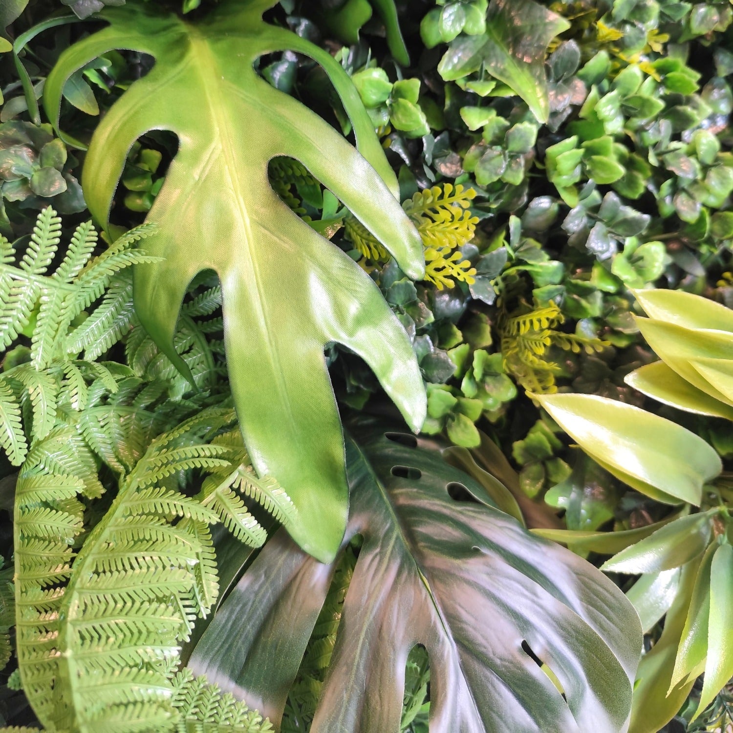 https://www.unicesped.com/wp-content/uploads/2025/12/New-rainforest-hojas.jpg