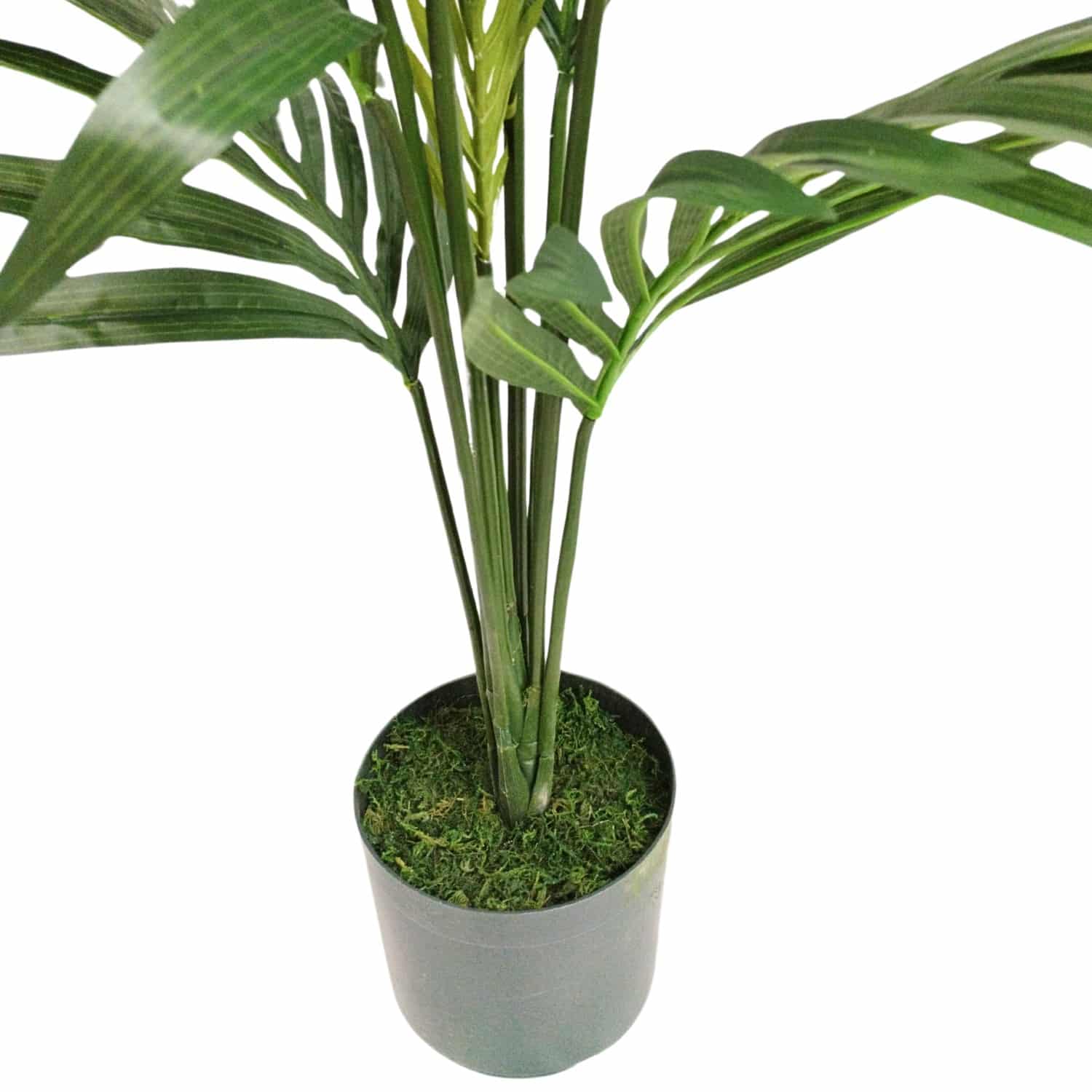 https://www.unicesped.com/wp-content/uploads/2025/12/Palmera-Deluxe-95-cm-maceta.jpg