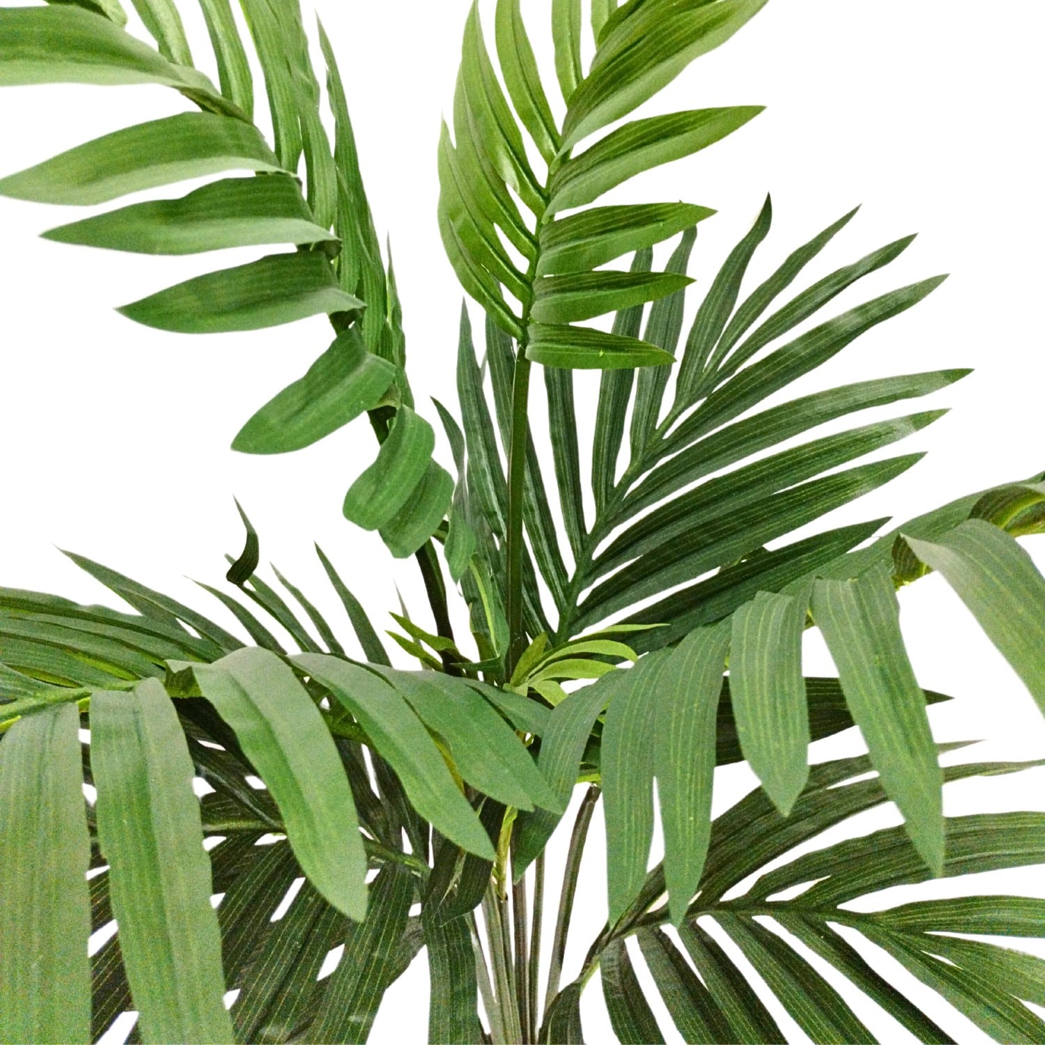 https://www.unicesped.com/wp-content/uploads/2025/12/Palmera-Deluxe-95cm-ramas.jpg
