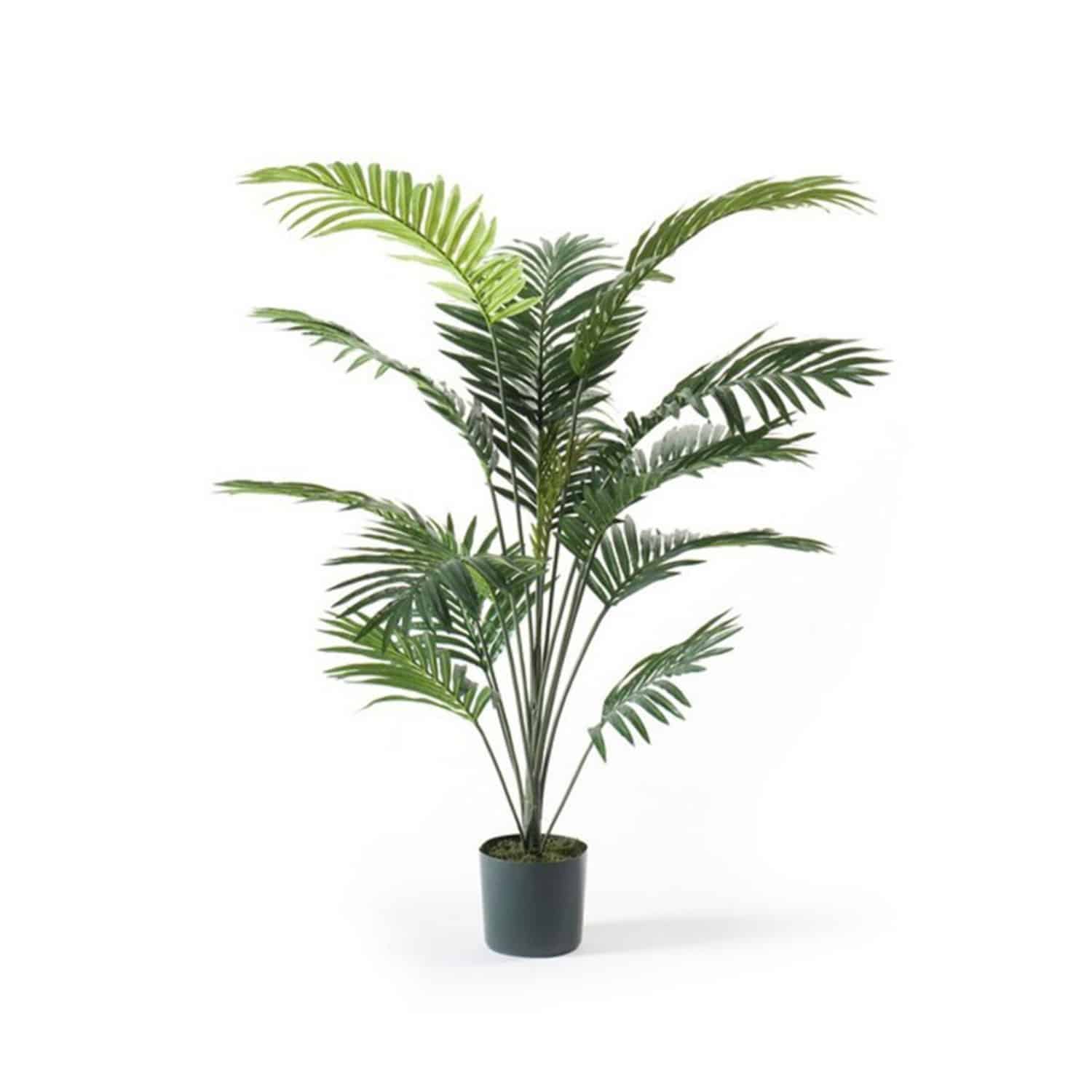 https://www.unicesped.com/wp-content/uploads/2025/12/Palmera-Deluxe-95cm.jpg