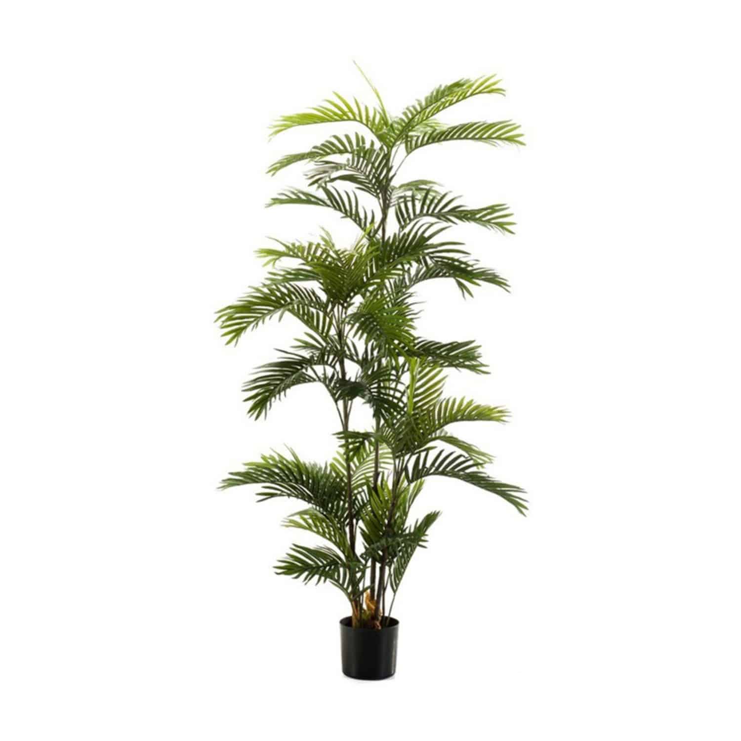 https://www.unicesped.com/wp-content/uploads/2025/12/Palmera-eco-185-cm.jpg