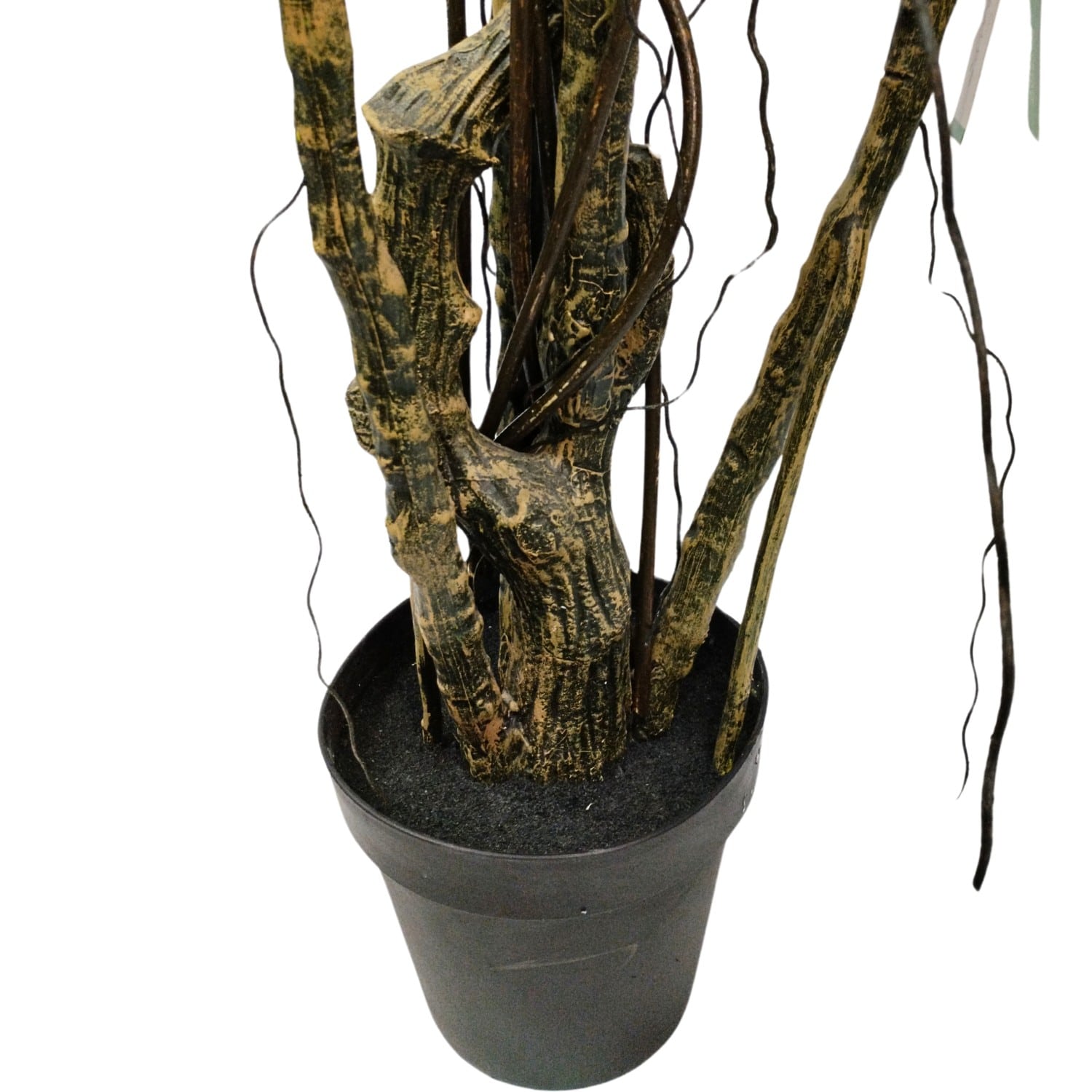 https://www.unicesped.com/wp-content/uploads/2025/12/Planta-Alocasia-maceta.jpg