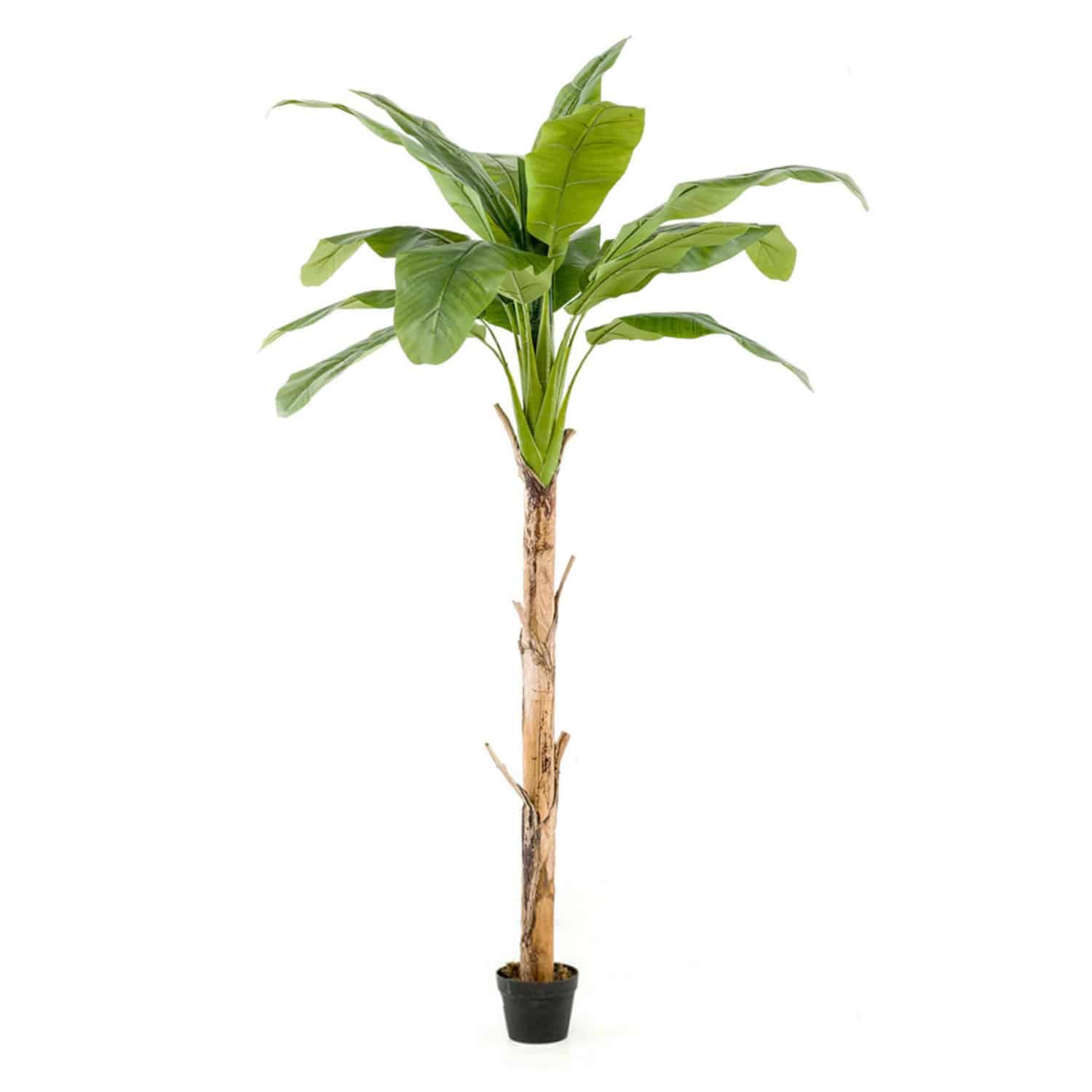 https://www.unicesped.com/wp-content/uploads/2025/12/Platanero-artificial.jpg