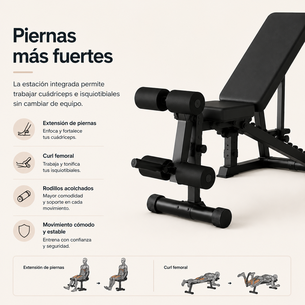 Banco de Pesas con Soporte de Barra Ajustable Press de Banca