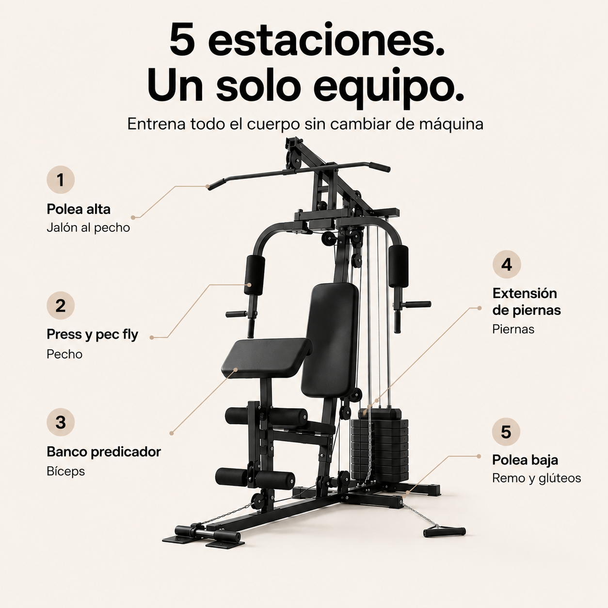 Station de musculation multifonction avec poulies et banc ergonomique