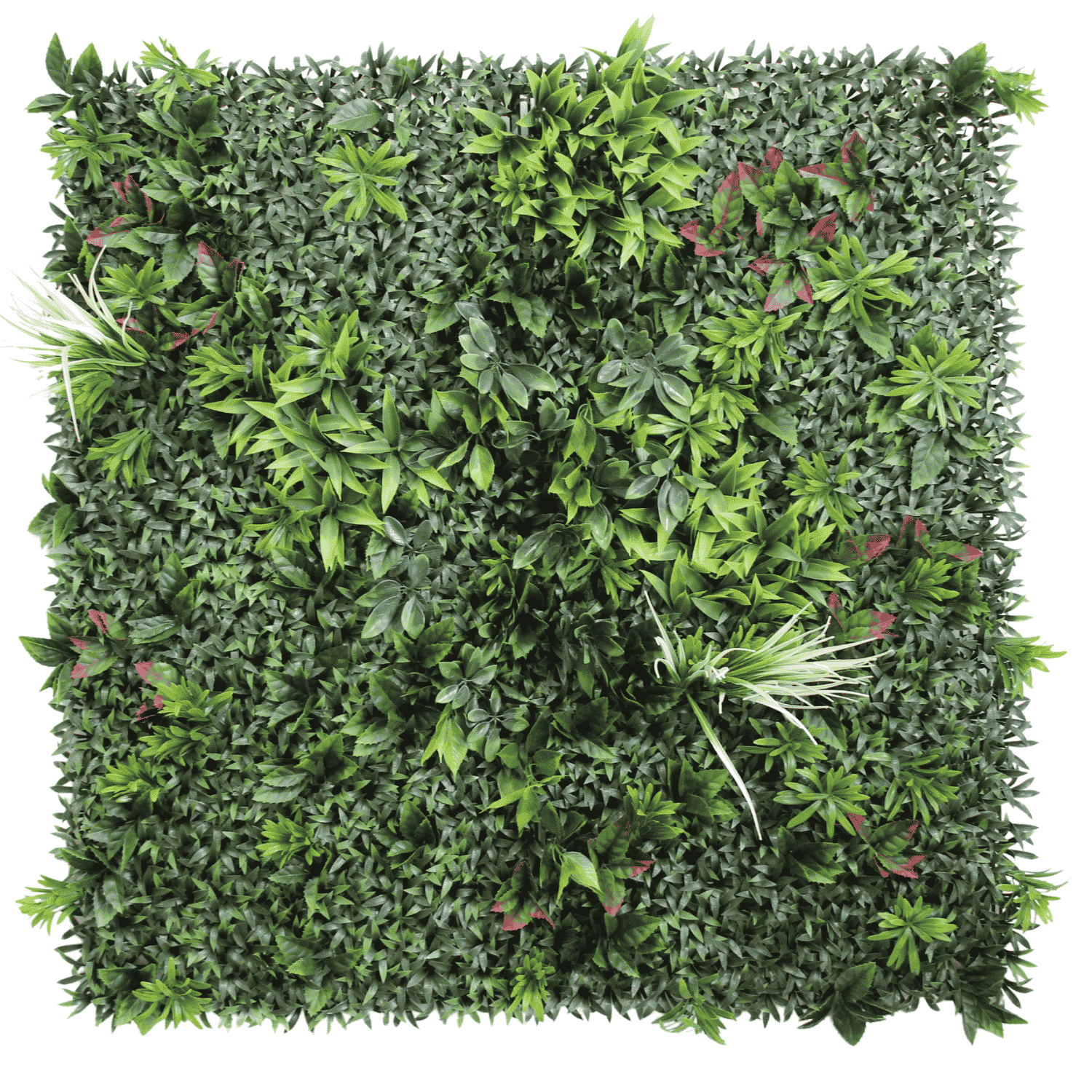 https://www.unicesped.com/wp-content/uploads/2025/12/Sun-Light-Garden.png
