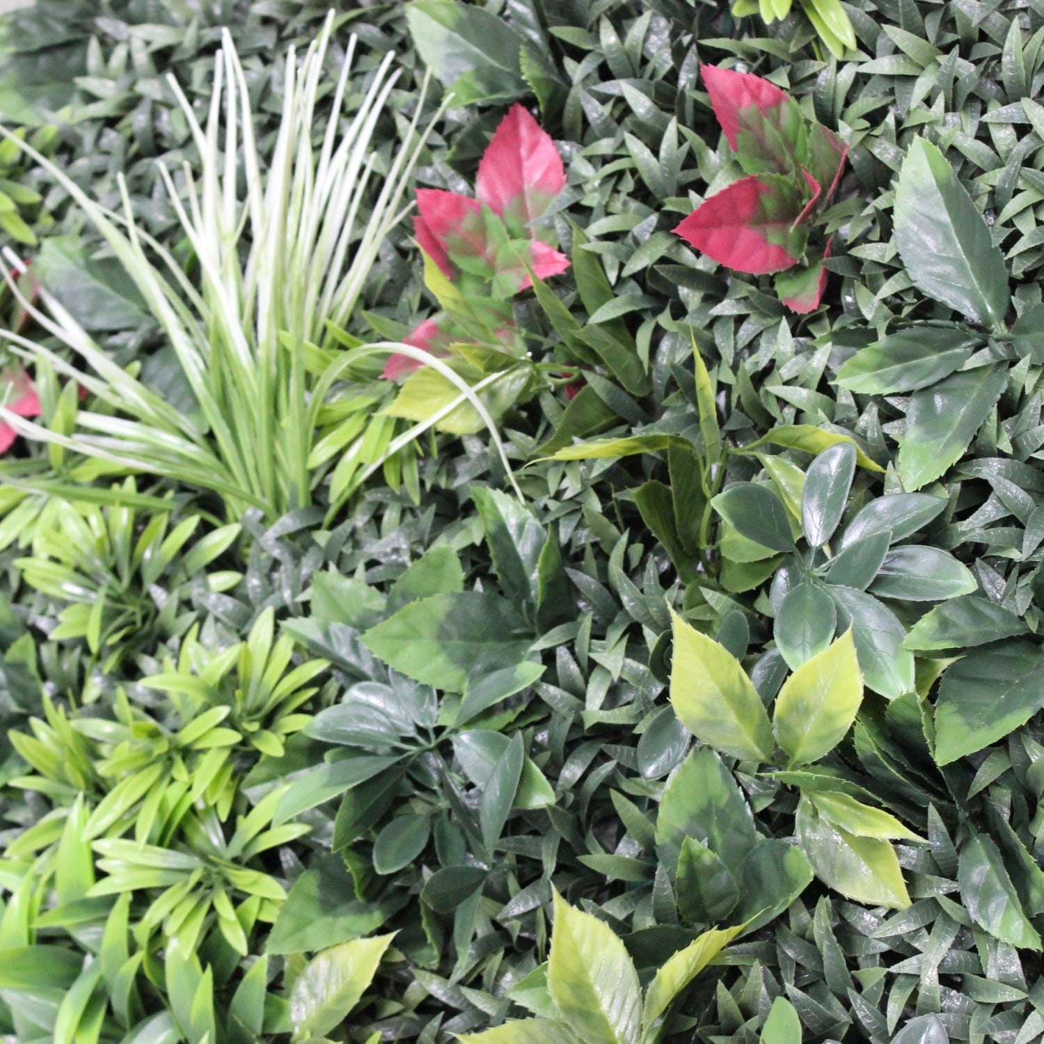 https://www.unicesped.com/wp-content/uploads/2025/12/Sun-light-garden-detalles.jpg