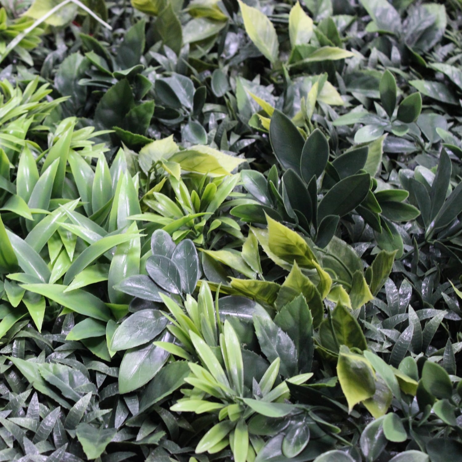 https://www.unicesped.com/wp-content/uploads/2025/12/Sun-light-garden.jpg