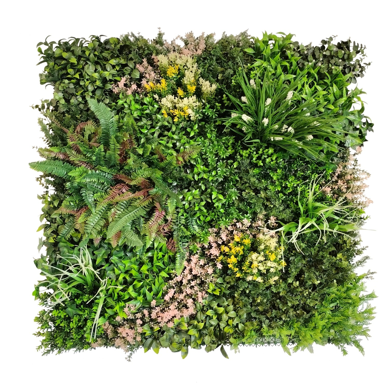 https://www.unicesped.com/wp-content/uploads/2025/12/Sweet-Garden-A.jpg