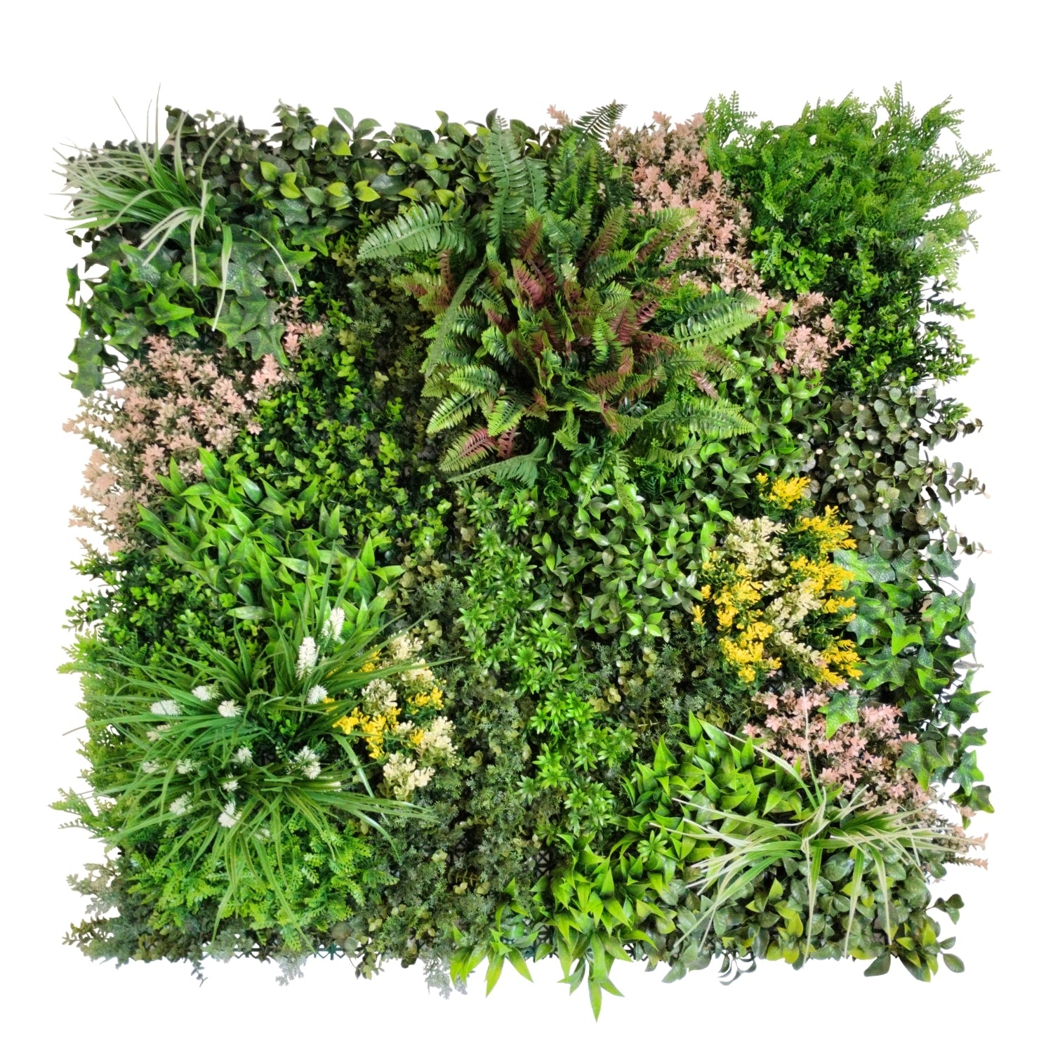 https://www.unicesped.com/wp-content/uploads/2025/12/Sweet-Garden-B.jpg