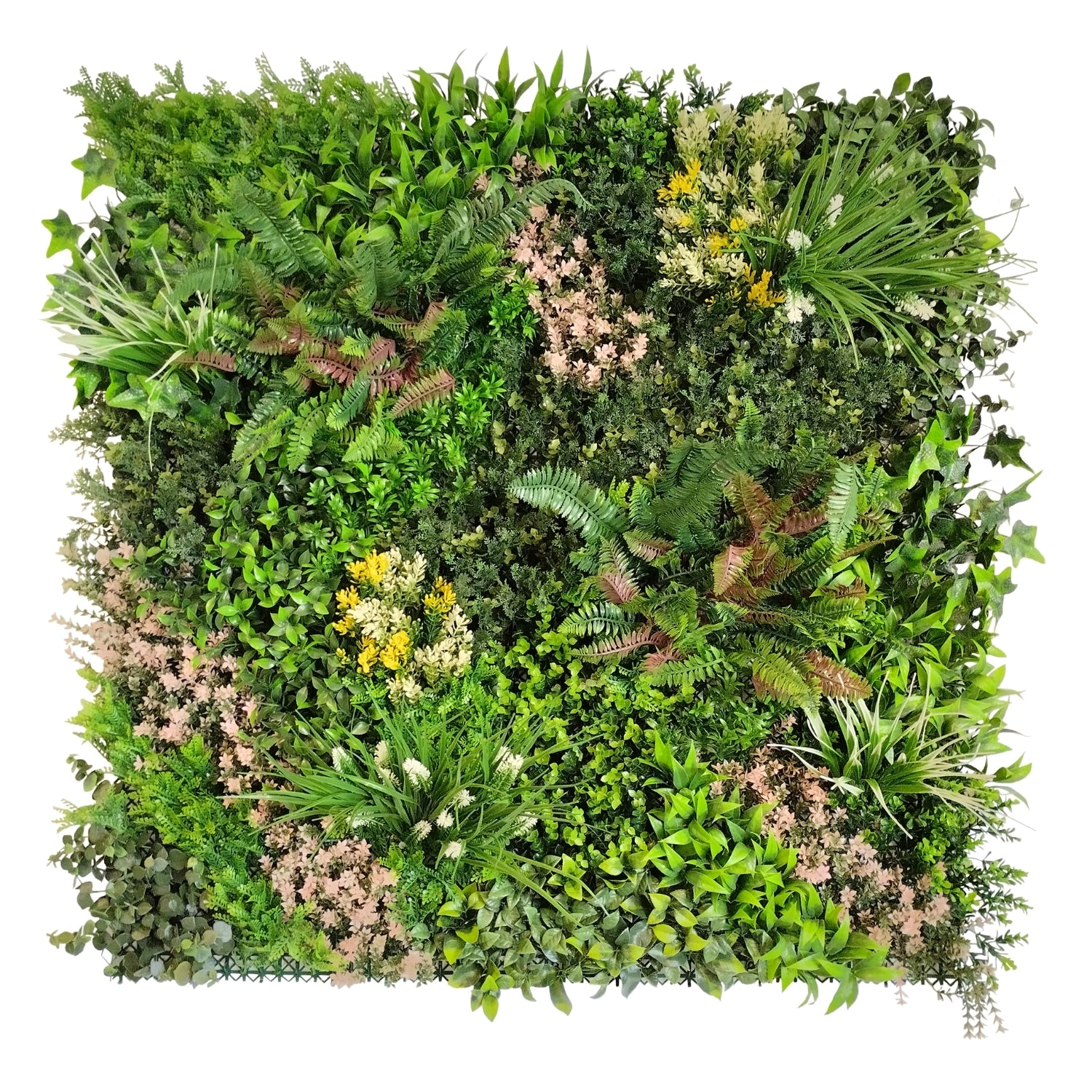 https://www.unicesped.com/wp-content/uploads/2025/12/Sweet-Garden-C.jpg