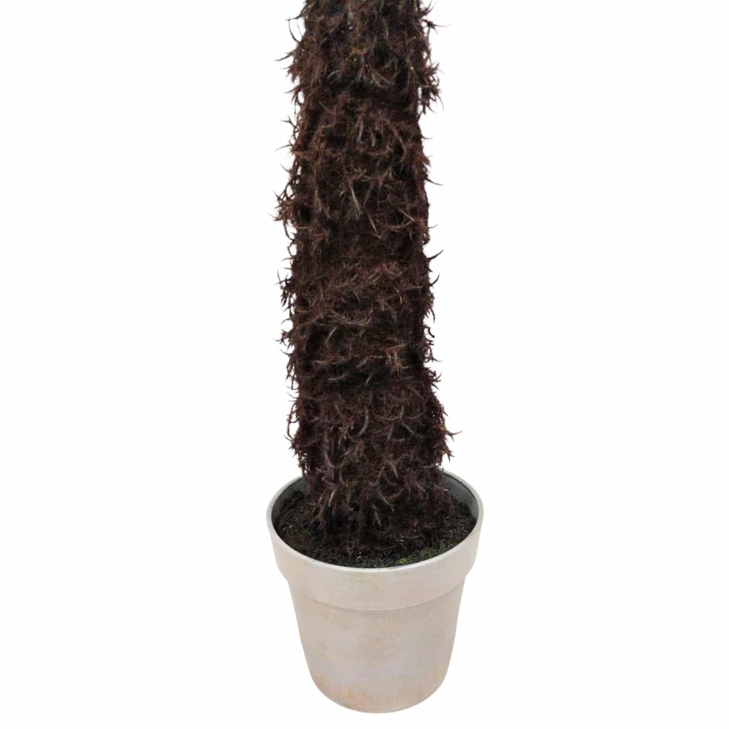 https://www.unicesped.com/wp-content/uploads/2025/12/Tronco-Dicksonia.jpg