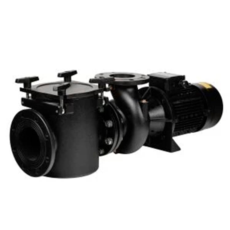 Astralpool - Bomba Aral Plus C - 1500 - BricoandPool