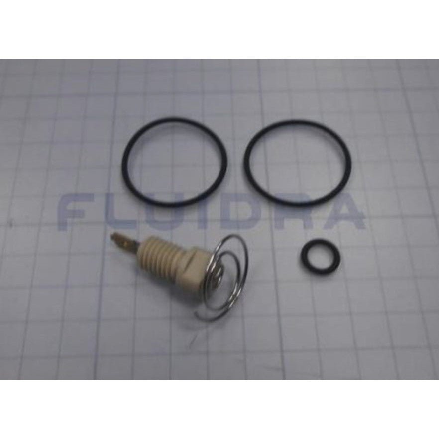 AstralPool - Electrodo de platino de recambio para modelo galvánico - BricoandPool