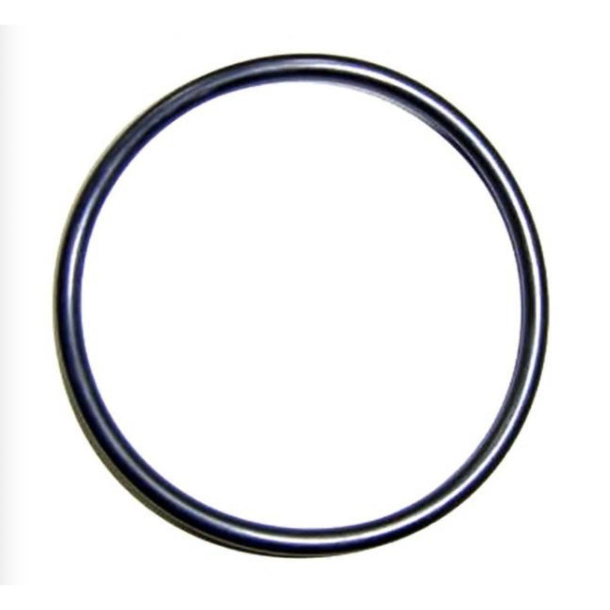 AstralPool - Junta tórica clorador salino Smart y Elite - BricoandPool