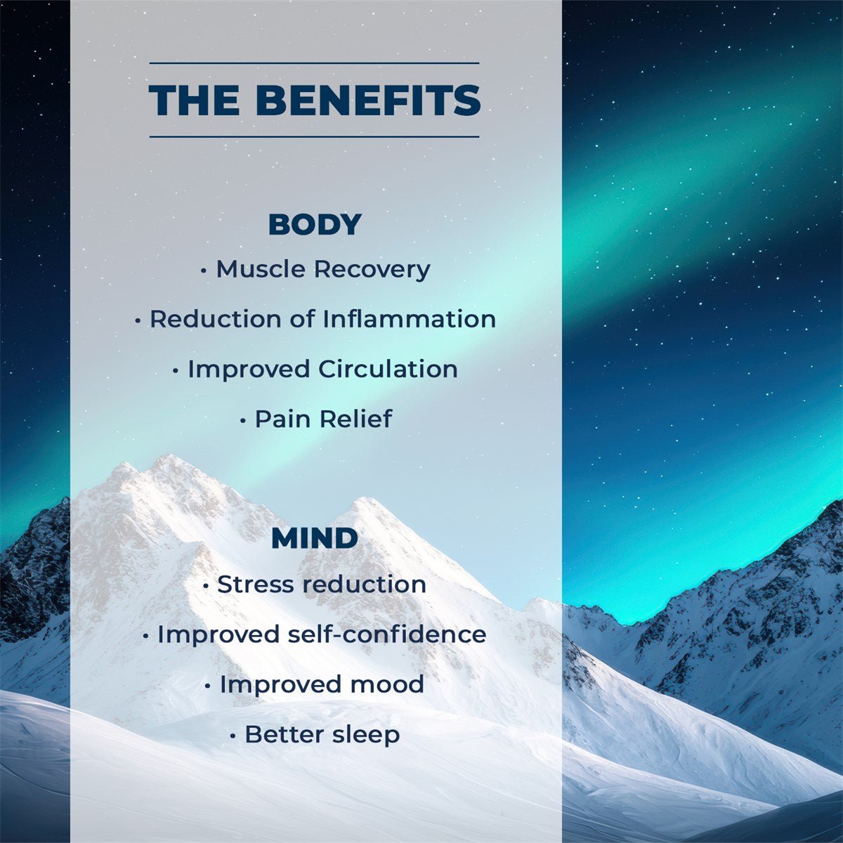 Baño de Hielo NetSpa Järvi - BricoandPool