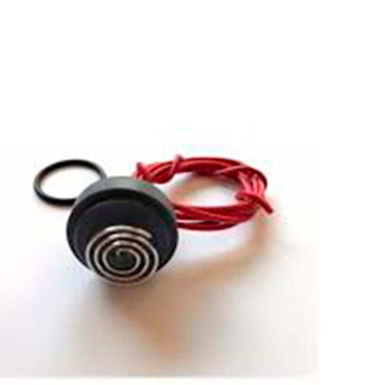 Bayrol - Electrodo platino - BricoandPool