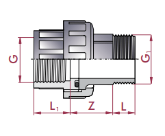 Cepex - Enlace m/h 3 piezas PVC roscar hembra y macho - BricoandPool