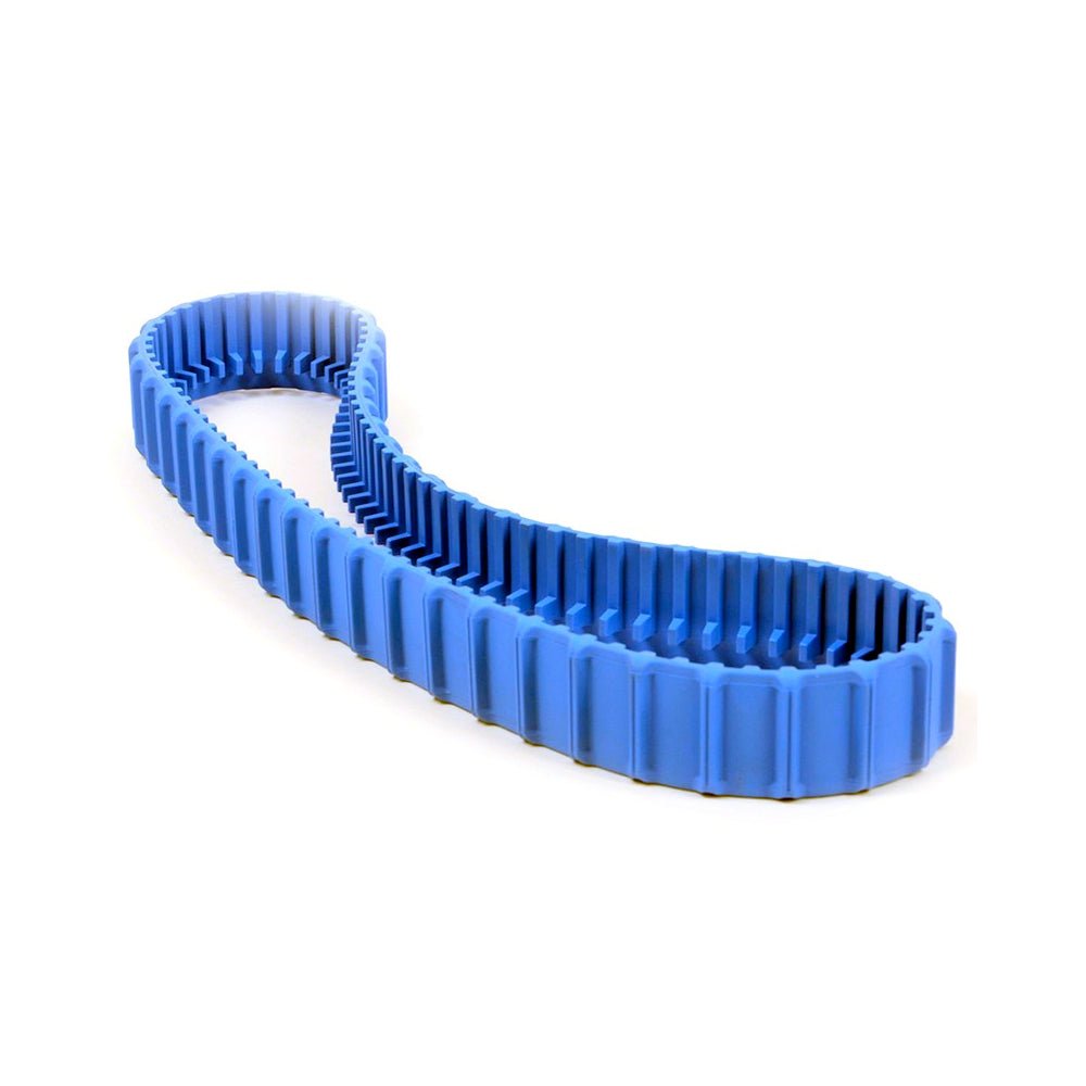 Dolphin - Correa oruga S 99831521 - BricoandPool