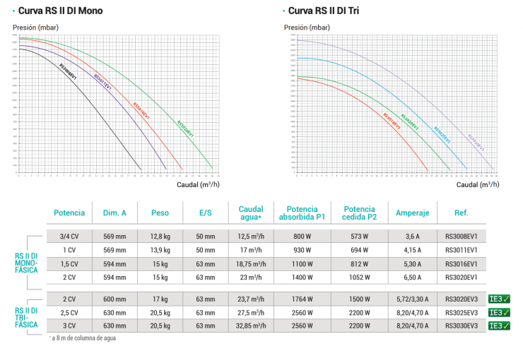 Hayward - Bomba de piscina RSII - BricoandPool