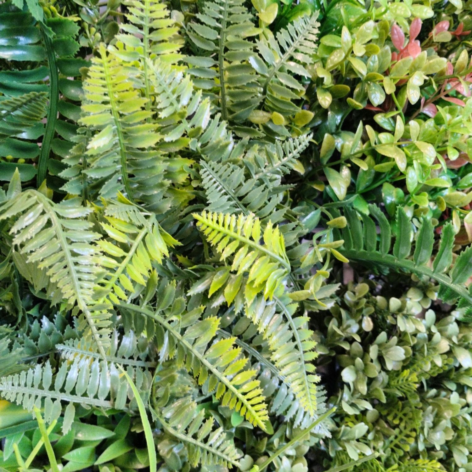 https://www.unicesped.com/wp-content/uploads/2025/12/jardin-vertical-Green-Nature-detalles.jpg