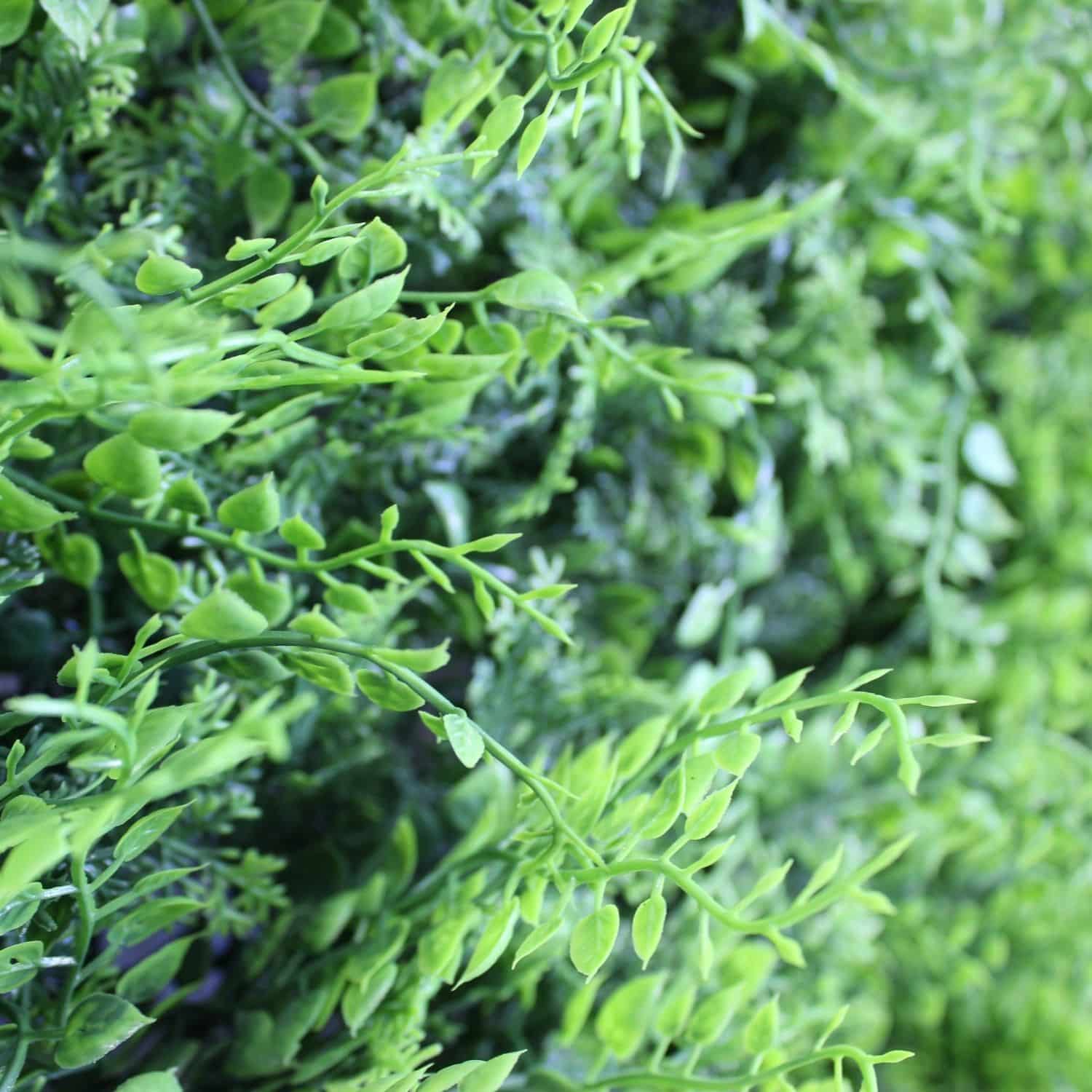 https://www.unicesped.com/wp-content/uploads/2025/12/jardin-vertical-artificial-mediterranean-detalle.jpg