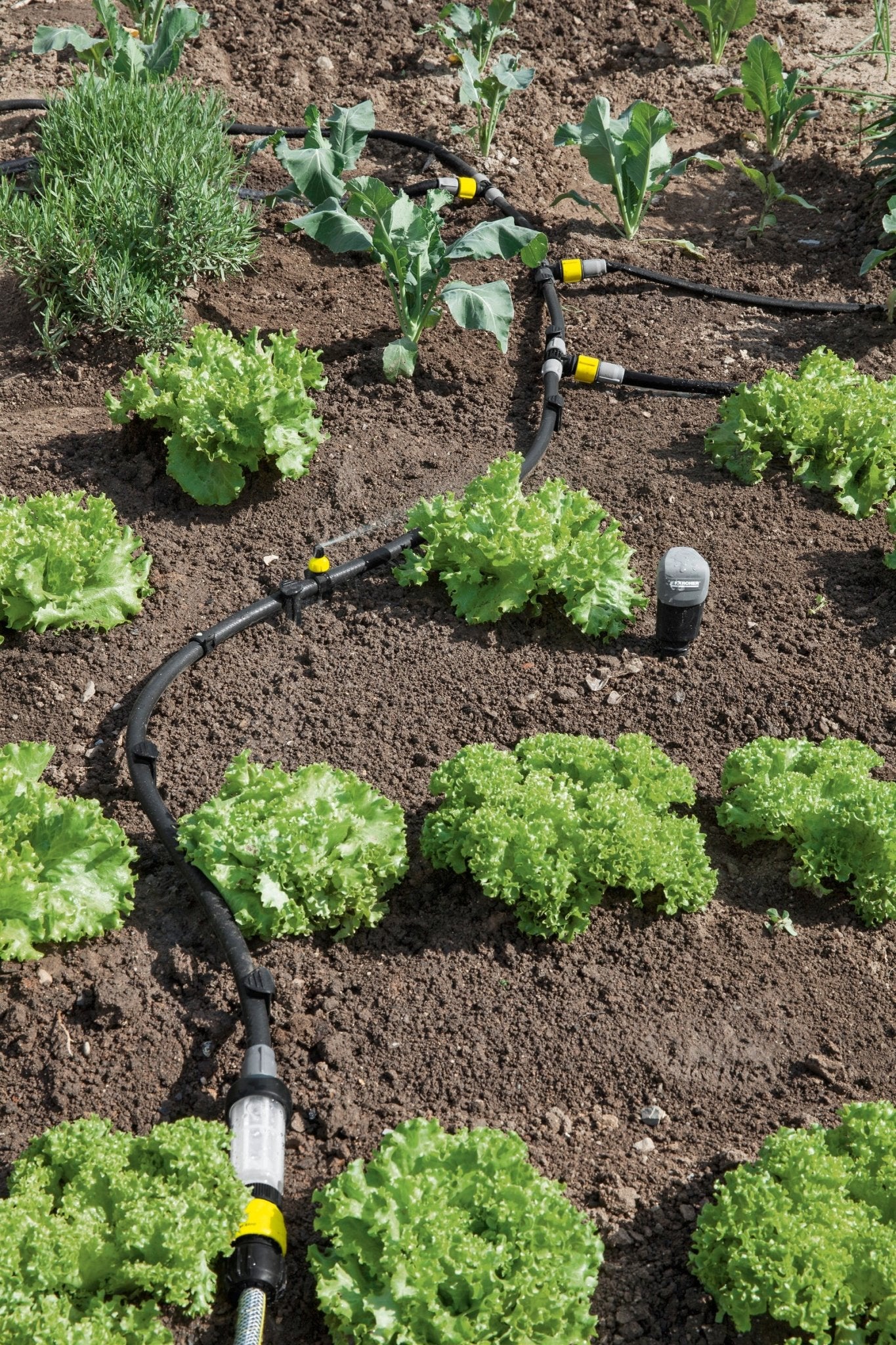 Karcher – Filtro de partículas - BricoandPool