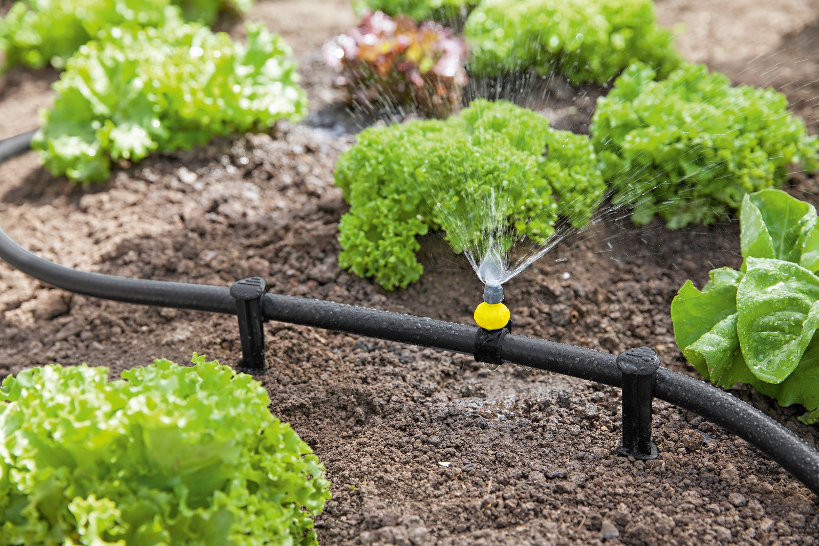 Karcher – Manguera del sistema de riego Rain System - BricoandPool