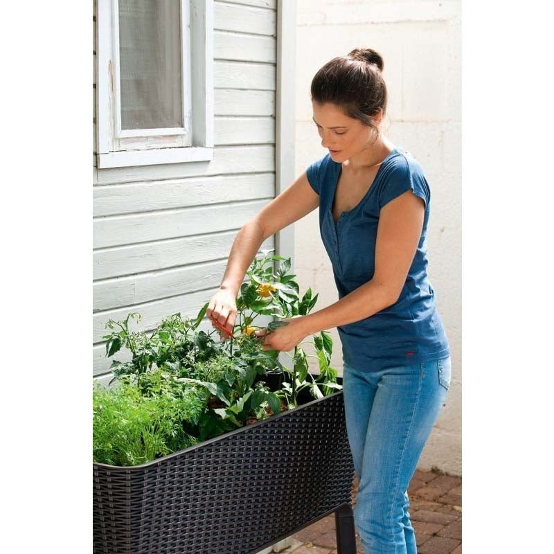 Keter - Huerto de jardín Easy Grow marrón - BricoandPool