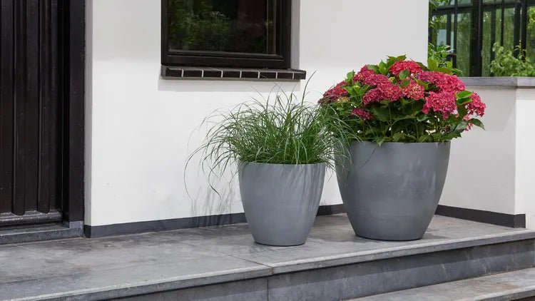 Keter - Maceta de jardín Betón redonda efecto hormigón 53 cm gris - BricoandPool