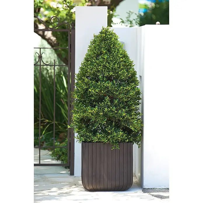 Keter - Maceta de jardín Cube Box 50L marrón - BricoandPool