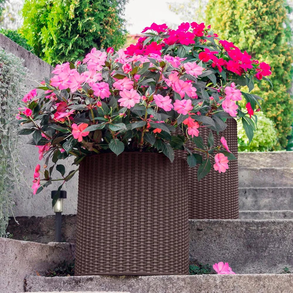 Keter - Maceta de jardín grande ratán marrón - BricoandPool