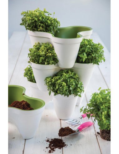 Keter - Maceta de jardín Ivy Planter blanco - BricoandPool