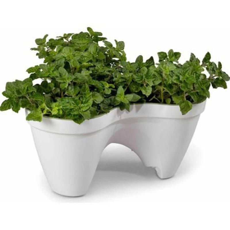 Keter - Maceta de jardín Ivy Planter blanco - BricoandPool