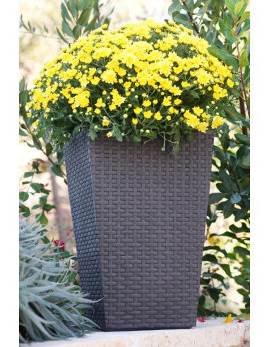 Keter - Maceta de jardín mediana ratán grafito - BricoandPool