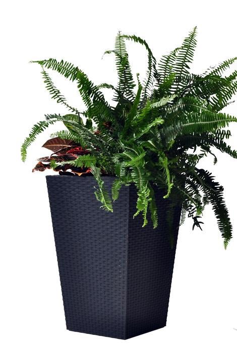 Keter - Maceta de jardín mediana ratán grafito - BricoandPool