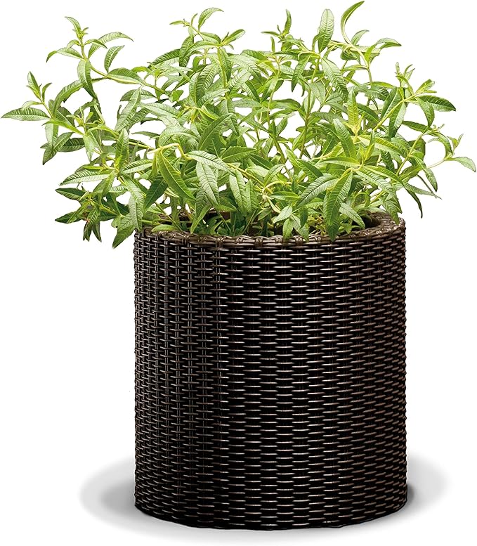 Keter - Maceta de jardín mediana ratán marrón - BricoandPool