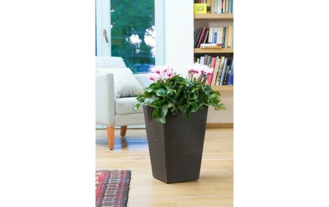 Keter - Maceta de jardín pequeña ratán grafito - BricoandPool