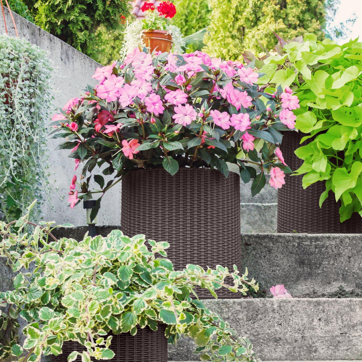 Keter - Maceta de jardín pequeña ratán marrón - BricoandPool