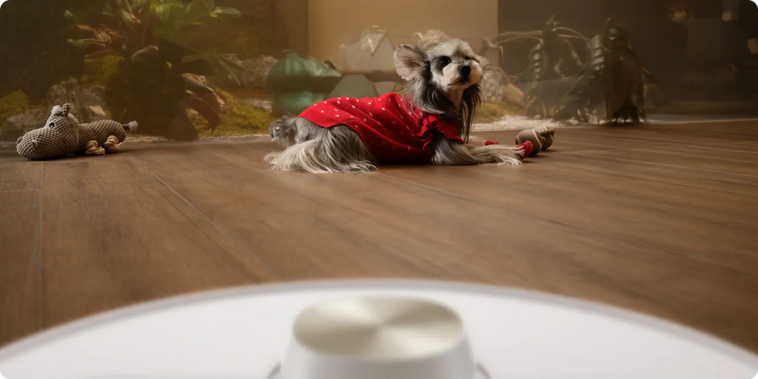 Deteção de animais de estimação