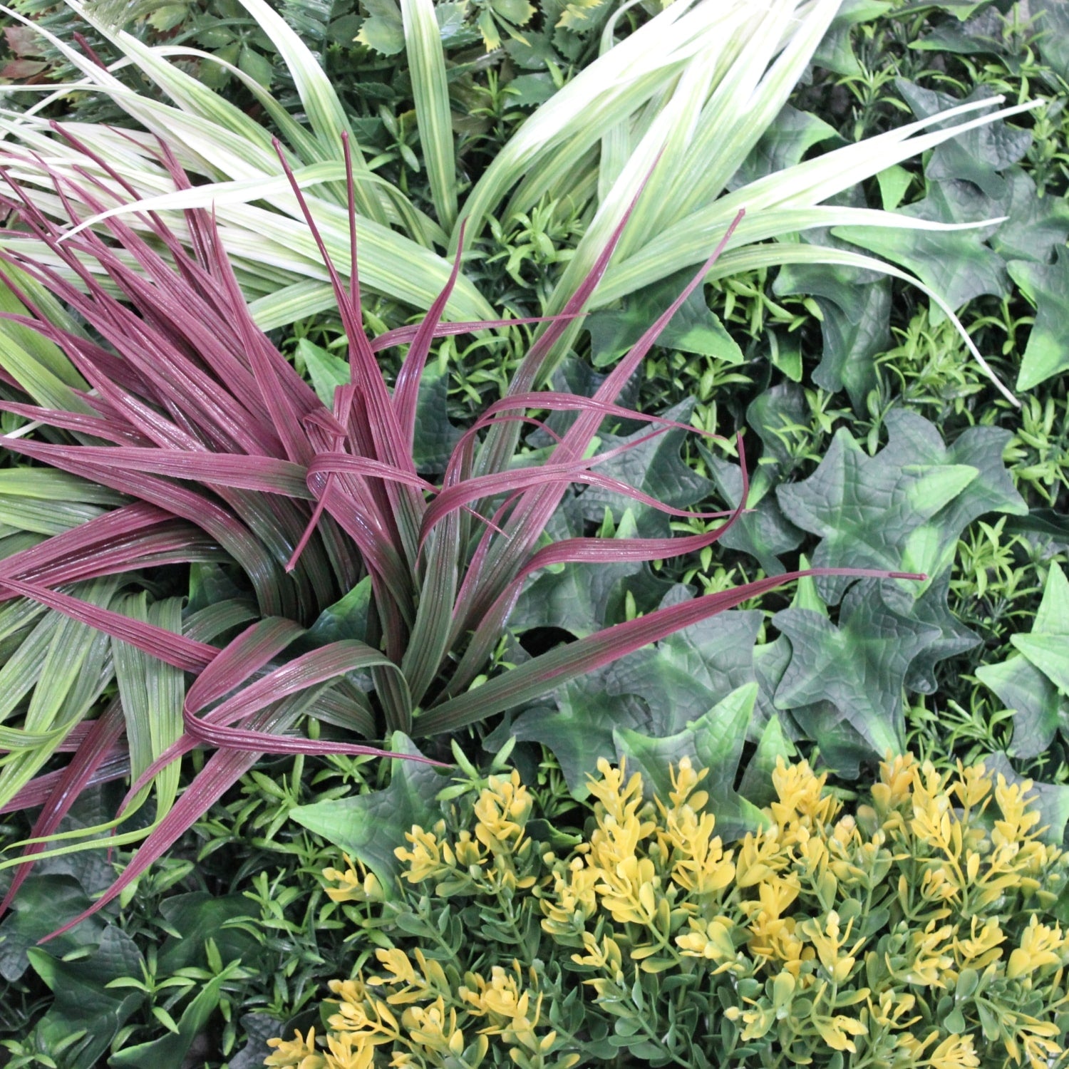 https://www.unicesped.com/wp-content/uploads/2025/12/magic-garden-detalle1.jpg