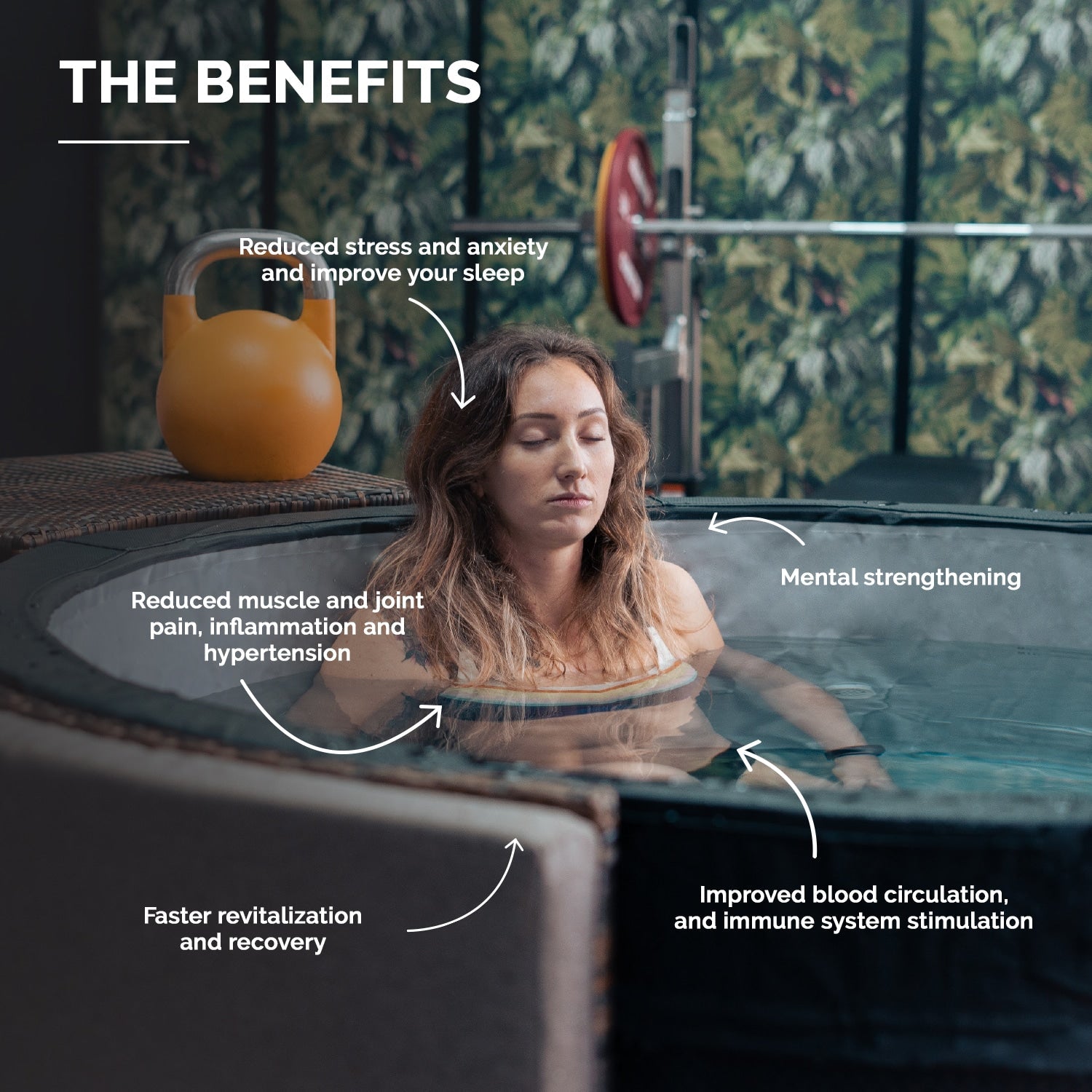 NetSpa Baño de Hielo - BricoandPool