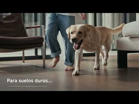 Charger la vidéo : 