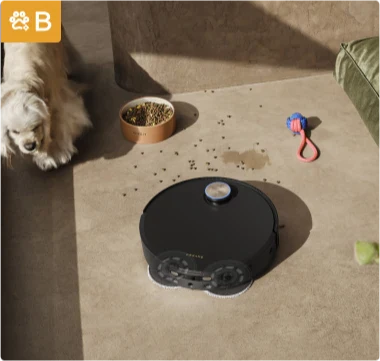 Casas limpas, animais de estimação felizes