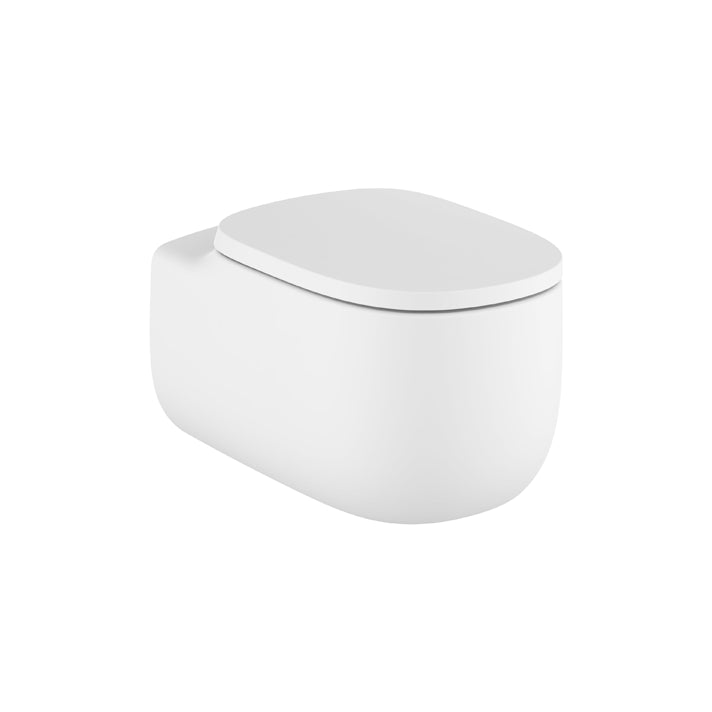 Roca - Beyond Rimless suspendido - BricoandPool