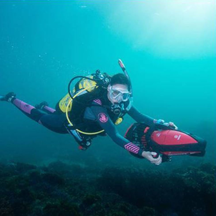 Yamaha - Seascooter 350Li - BricoandPool